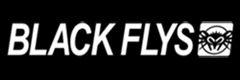 BLACKFLYS